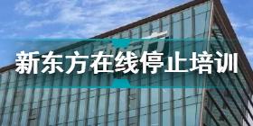 新东方在线停止义务教育阶段培训 新东方在线旗下K12业务