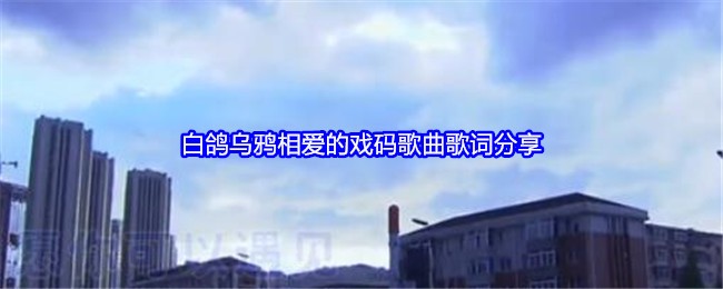 白鸽乌鸦相爱的戏码歌曲歌词分享